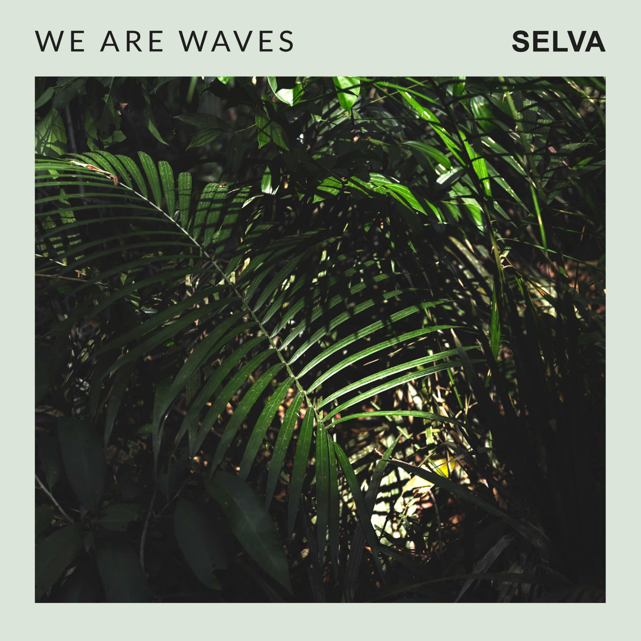 We Are The Wave Stream