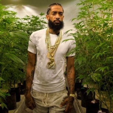 nipsey-hussle-cannabis-documentary-released:-watch