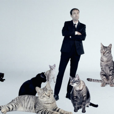 andrew-bird-shares-cat-tastic-video-for-new-song-“make-a-picture”