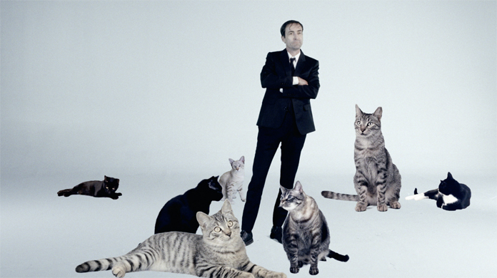 andrew-bird-shares-cat-tastic-video-for-new-song-“make-a-picture”