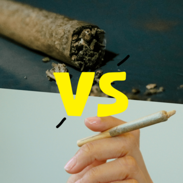 blunts-vs-joints:-everything-you-need-to-know-about-cannabis-roll-ups