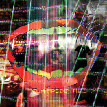 animal-collective-released-“centipede-hz”-10-years-ago-today