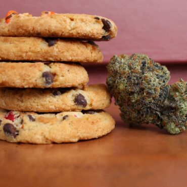 how-to-recover-from-edibles:-tips-to-cure-an-edible-hangover-and-overeating-thc