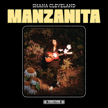 shana-cleveland-–-“faces-in-the-firelight”