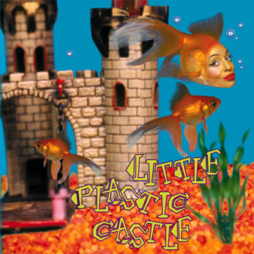 ani-difranco-released-“little-plastic-castle”-25-years-ago-today