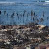 Fleetwood Mac’s Stevie Nicks And Mick Fleetwood Share Statements On Maui Wildfires