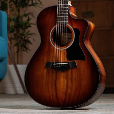 taylor-guitars-introduces-striking-new-additions-to-the-200-series