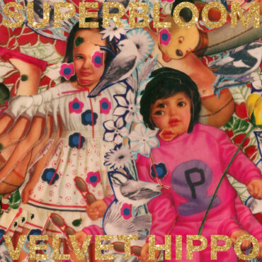 superbloom-–-“velvet-hippo”