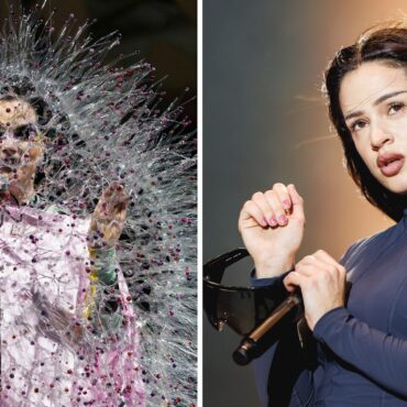 bjork-and-rosalia-preview-new-song-to-combat-icelandic-fish-farming:-listen