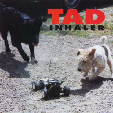 tad-released-“inhaler”-30-years-ago-today