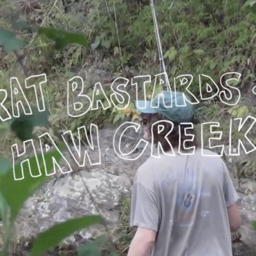 watch-wednesday’s-documentary-rat-bastards-of-haw-creek