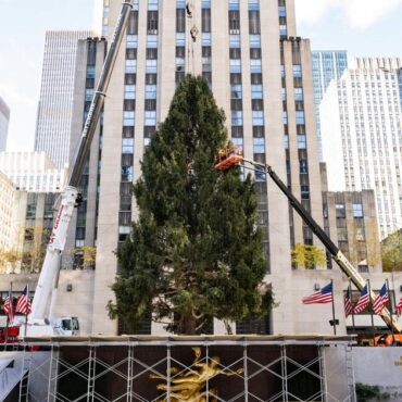 this-year’s-rockefeller-christmas-tree-came-from-gym-class-heroes’-drummer