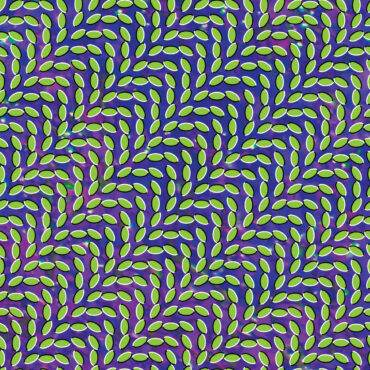 animal-collective-released-“merriweather-post-pavilion”-15-years-ago-today