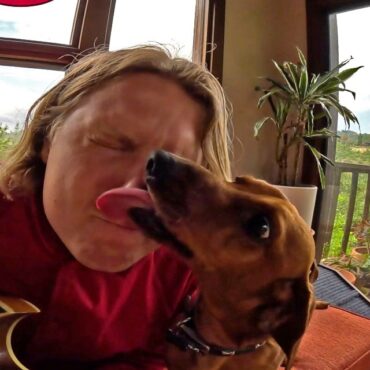 ty-segall-and-his-dogs-star-in-new-“my-best-friend”-video:-watch