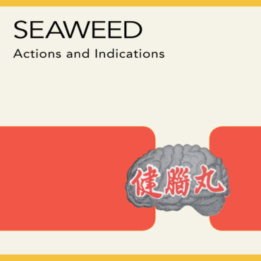 seaweed-released-final-album-“actions-and-indications”-25-years-ago-today