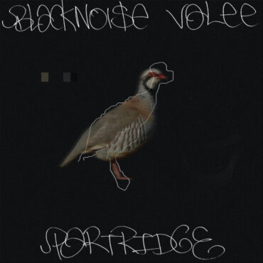 stream-valee-&-black-noi$e’s-new-partridge-ep