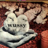 Wussy Released Its Self-Titled Third Album 15 Years Ago Today