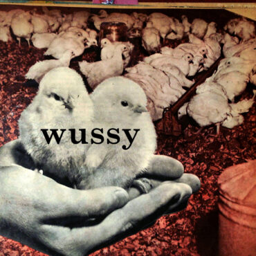 wussy-released-its-self-titled-third-album-15-years-ago-today