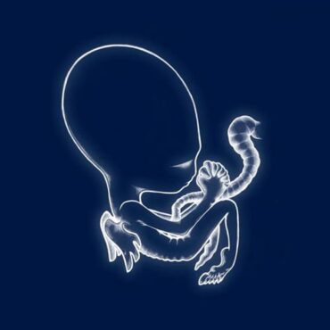 sigur-ros-released-“agaetis-byrjun”-25-years-ago-today