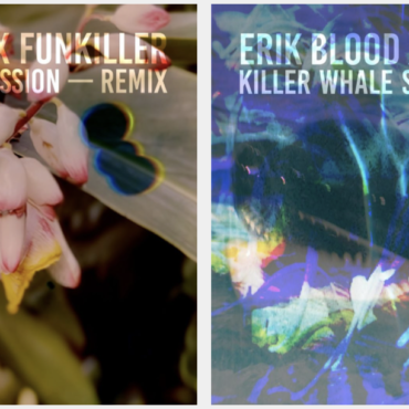 magnet-exclusive:-premiere-of-funkiller’s-“tropical-depression”-and-“killer-whale-song”-(erik-blood-remixes)-videos